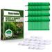 400pcs Mouse Repellent Bag Rodent Repellent Pack Keep Mice Out Plant Oil Rat Repeller Safe for Human Beings