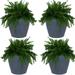 Sunnydaze Anjelica Polyresin Outdoor Flower Pot Planter - Set of 4 - Sable