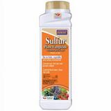 Bonide Products # 141 1 LB Sulfur Dust Plant Fungicide - Quantity of 1