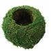 Jlong Moss Ball Creative DIY Gardening Potted Plants Home Micro-landscape Personality Flower Pot
