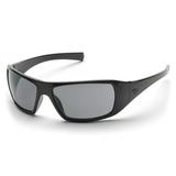 Black Frame/Gray Polarized Lens