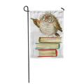 LADDKE Cute Cartoon Owl Watercolor Forest Bird School Books Garden Flag Decorative Flag House Banner 12x18 inch