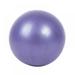 Small Exercise Ball Mini Blue Yoga Ball Exercise Barre for Yoga Inflator Exercise Ball for Women Workout Fitness Stability Physical Therapy Fitness Back Pain Posture