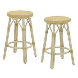 Furniture of America Binde Aluminum 26-inch Patio Barstool in Natural (Set of 2)