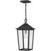 Quoizel Stoneleigh 1-Light Mottled Black Outdoor Hanging Lantern