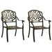 Garden Chairs 2 pcs Cast Aluminum Bronze
