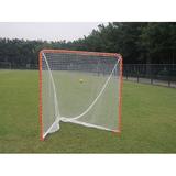 LACROSSE GOAL-FOLDABLE