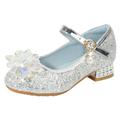 New Kids Baby Shoes Toddler Little Kid Girls Dress Pumps Glitter Sequins Princess Flower Low Heels Party Show Dance Shoes Rhinestone Sandals