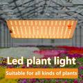 Dream Lifestyle LED Grow Lights Plant Grow Lamp with LED No Noise Sunlike Full Spectrum Grow Light High Indoor Plants Seeding Flowering Dimmable Grow Lamp for Greenhouse