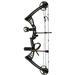 SAS Scorpii 55 Lb 29 Compound Bow Package