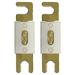 Ceramic ANL Fuse 80A 80 Amp For Car Vehicle Marine Audio Video System Gold 2 Pack (80 Amp)