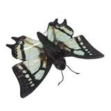 14 In. Butterfly - Swallowtail Animal Puppet