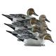 Higdon Standard Pintail Foam Filled Duck Decoys - 6 Pack