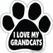 Imagine This Paw Car Magnet I Love My Grandcats 5-1/2-Inch by 5-1/2-Inch