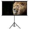 Projection Screen with Tripod 100 4:3