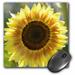 3dRose Pretty Summer Sunflower - Floral Photography - Mouse Pad 8 by 8-inch (mp_63608_1)