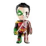 XXRay DC XXRAY DC Comics Robin 4D Vinyl Action Figure by Jason Freeny Designer Collectible Toys