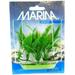 Marina Foreground Crypt Becketti Aquarium Plant Foreground Crypt Becketti Aquarium Plant Pack of 2