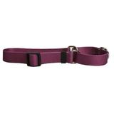 Yellow Dog Design Plum Simple Solid Martingale Dog Collar 3/4 Wide and Fits Neck 12 to 16 Small