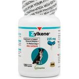 Vetoquinol Zylkene Behavior Support Capsules for Dogs & Cats 225mg 120ct - Calming Natural Milk Protein Supplement - Help Pets Cope with Change & Noise-Related Stress - Non-Drowsy - Lactose-Free