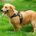 NUZYZ Large Dog Harness Adjustable Training Harness Pet Walk Out Hand Strap Vest