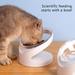 KOOYET Pet Cat Dog Junction Neck Noodle Bowl Dog Cat Accessories