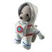 Pet Transformation Into an Astronaut for A Halloween Funny Pet Clother Standing Clothes for Cat Astronauts Pet Costume Clother