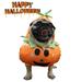 Halloween Dog Pumpkin Outfit Dog Halloween Pumpkin Costum Funny Cosplay Dress Up Pumpkin Hat for Halloween Christmas Holiday Parties for Dogs