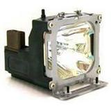 Replacement for LIESEGANG LAMP-030 LAMP & HOUSING Replacement Projector TV Lamp