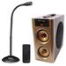Samson CM15P 15 Podium Microphone Church Altar Mic + Home Bluetooth Speaker