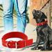 Dog Collar Adjustable Nylon Dog Collar Heavy Duty Metal Buckle Dog Collar Traction Collar