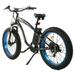 ECOTRIC 26 Ã— 4 Fat Tire Electric Bike 750 W e-bike Mountain Beach Snow Bicycle W/ 7 Speeds Black Removable Lithium Battery 48 V 12.5 Ah Lithium battery Pedal Assist A-E516646