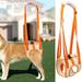 Keimprove Dog Walking Belt Adjustable Pet Support Sling Aid Assist Tool for Help Pet Weak Legs Stand Up Dog Back Legs Lift Harness S-XL