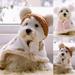 Dengjunhu Pet Cape Cartoon Bear Pattern Keep Warmth Soft Texture Pet Dogs Cloak Outfit for Small Dogs