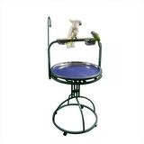 Deluxe Bird Play Stand with Wood Perch Color: Platinum