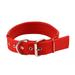 Dog Collar Adjustable Nylon Dog Collar Heavy Duty Metal Buckle Dog Collar Traction Collar