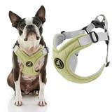 Gooby Memory Foam Step-In Harness - Green Large - Scratch Resistant Harness with Comfortable Memory Foam for Small Dogs and Medium Dogs Indoor and Outdoor use