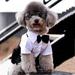 Xinhuaya Pet Dog Cat Clothing Shirt Prince Tuxedo Bow Tie Suit Puppy Costume Jumpsuit Coat XL