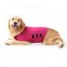 Breathable Dog Shirt for Thunderstorm Sport Dog Anxiety Jacket Pet Coat Anti Anxiety Dog Vest Puppy Calming Coat Anxiety Stress Relief Calming Wrap fit for Small Medium Large Dogs & Cats