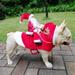 Small Large Dogs Santa Cosplay Outfit For Christmas Carnival Pet Costumes Apparel Party Dressing Up Clothing