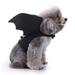 Cheers.US Pet Cat Bat Wings for Halloween Bat Wing Costume Decoration for Puppy Dog Cat Small Dogs Cats Halloween Party