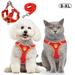 Puppy Harness and Leash Set - Dog Vest Harness for Small Dogs Medium Dogs- Adjustable Reflective Step in Harness for Dogs - Soft Mesh Comfort Fit No Pull No Choke - Red XL