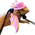 WZF 1 Set Bearded Dragon Harness with Hat Adjustable Traction Tool Bearded Dragon Leash Costume Set Small Animal Clothes