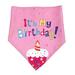 Dog Birthday Party Accessories Dog Birthday Bandana Triangle Scarf and Feather Birthday Hat and Crown Topper for Small Dogs Cats Kitten Puppy