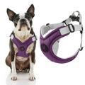 Gooby Memory Foam Step-In Harness - Purple Small - Scratch Resistant Harness with Comfortable Memory Foam for Small Dogs and Medium Dogs Indoor and Outdoor use