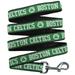 Boston Celtics Pet Leash by Pets First - Large