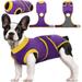Kuoser Dog Surgical Recovery Suit Dogs Cat Onesie after Surgery Purple XS