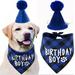 Luxsea Dog Birthday Bandana Triangle Scarf and Hat for Dog Puppy Birthday Party Decoration