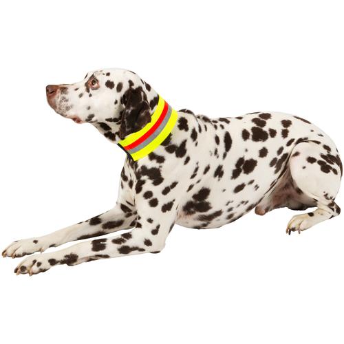 "HEIM Hunde-Halsband ""Signalhalsband"" Tier-Halsbänder Gr. 55 cm - 56 cm, gelb (gelb, rot) Hundehalsbänder"