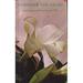Consider the Lilies; Great Inspirational Verses From the Bible BWB16308511 Used / Pre-owned